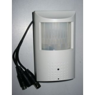 R3544A/ 600SW-PIR Kamera- 1/3 Zoll, Audio- Aktion 1 Stück